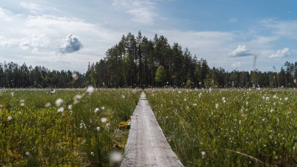 lähiretkeily tiilikkajärven kansallispuisto